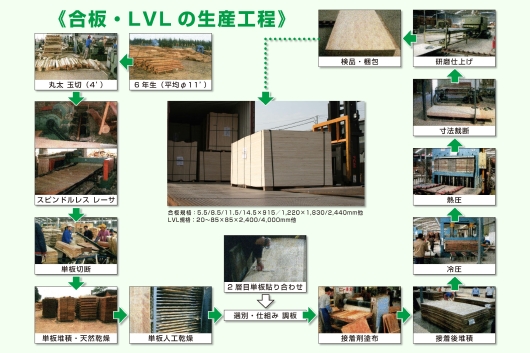 合板・LVLの生産工程